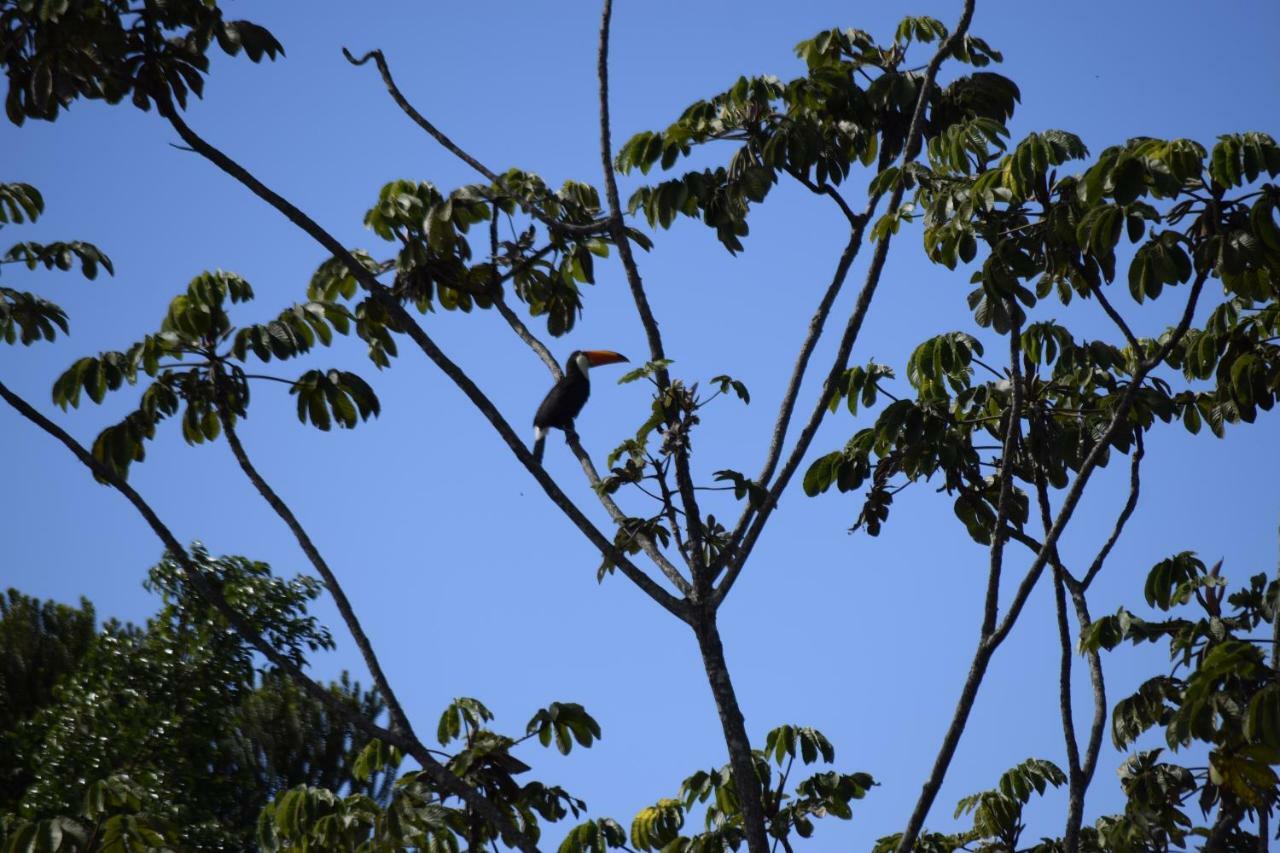 Vila Dos Cristais Alto Paraíso de Goiás Exteriör bild
