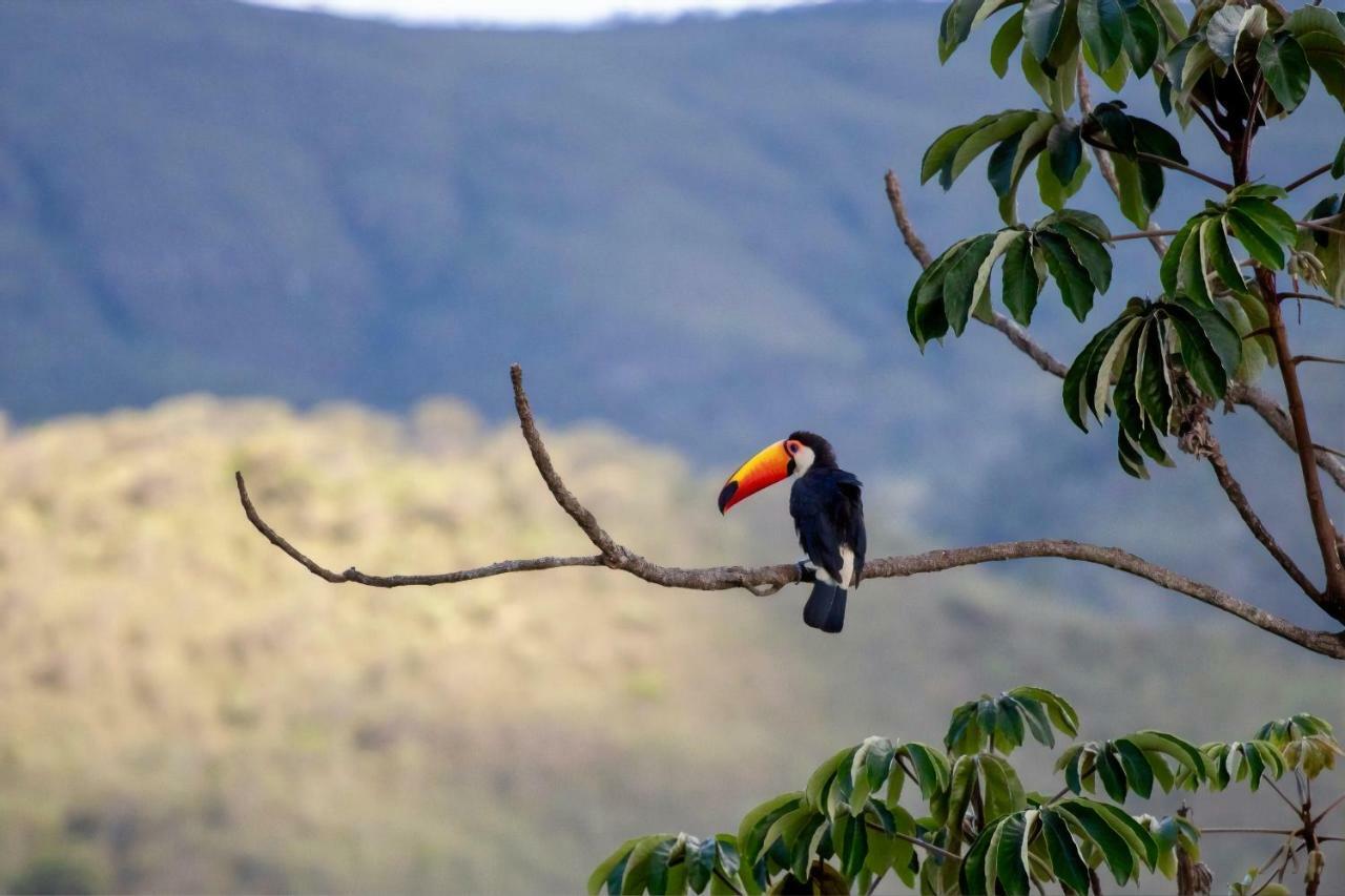 Vila Dos Cristais Alto Paraíso de Goiás Exteriör bild
